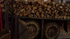 Над 1 милион кубика дърва за огрев за зимния сезон 