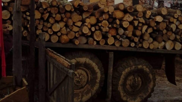 Полицията откри за ден в едно село 22 кубика нелегална дървесина
