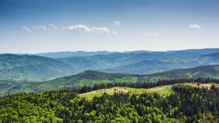 Вековните букови гори в Балкана вече част от световното наследство на ЮНЕСКО