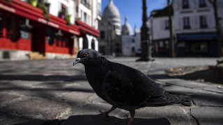 Френското правителство затегна правилата за ограничаване разпространението на коронавируса съобщи