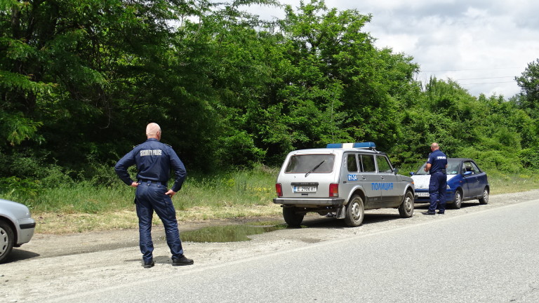 Изображение 532955