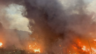 Пожар пламна и край благоевградското село Марулево предаде БТА позовавайки