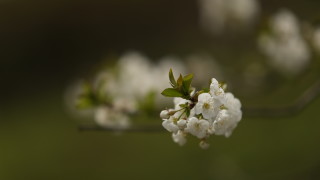 През започналото денонощие ще преобладава облачно време На много места