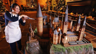 Магичната торта за юбилея на Хари Потър