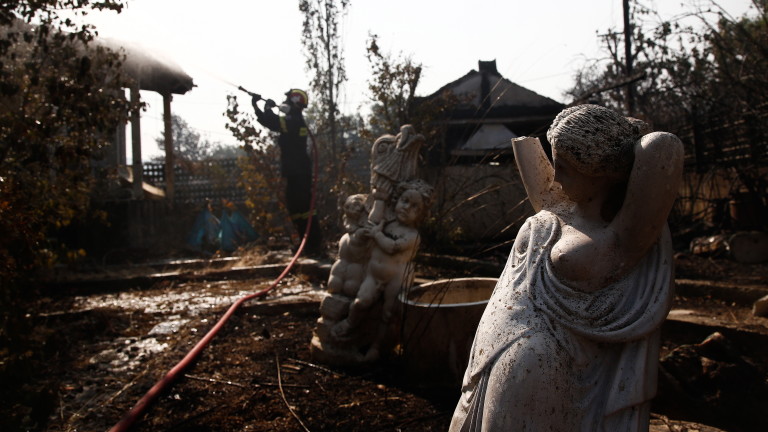 Изображение 544155