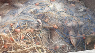 ИАРА дари 150 кг риба, хваната в бракониерски мрежи, на Зоопарка в Бургас