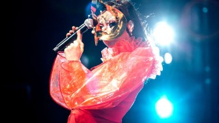 В края на миналата година най известната исландска изпълнителка в света