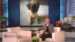 В момента не само ние работим от вкъщи Дори водещите