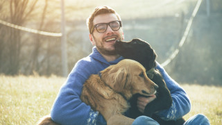 Четири кучета обучени за асистенти на хора с диабет днес