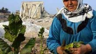 Тютюнопроизводителите си поискаха субсидиите