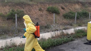 Слави Трифонов учреди партия при строги мерки за сигурност и без медии; Над 46 000 прасета по селата паднаха жертва на чумата