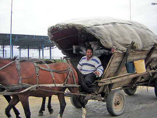 80 ромски семейства получават евтини земи, за да станат фермери