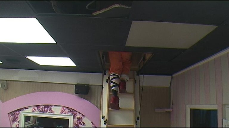 Чии са тези крайници?