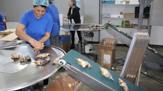 Около 200 тона картофени снаксове и пшенично царевични пръчици излизат всяка