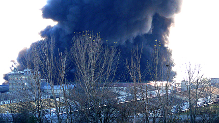 Изображение 108055