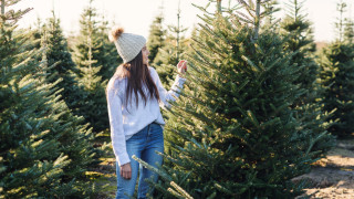 Докато сте се подготвяли за празничния сезон тази година може