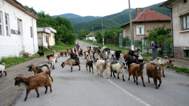 Изображение 48555