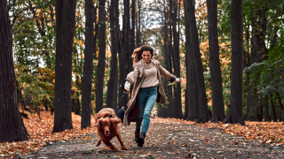 Извеждаме ги на разходки грижим се за тях разресваме козината