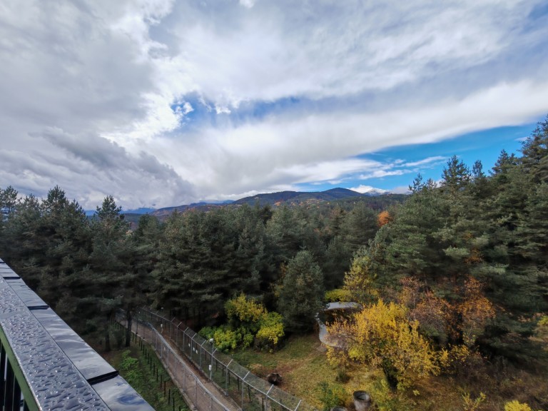 Накъдето и да погледнеш - природа