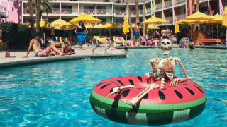 Експерт в изящното изкуство Скeли е момиче от града което