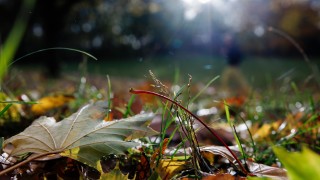 Днес ще бъде предимно слънчево но в долното поречие на