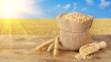 Украйна: Русия ни открадна около 400 000 тона зърно