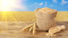 Индия предлага 5 млн. тона жито за успокояване на пазарите