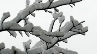 Червен код за много опасно време в Смолянско и Кърджалийско