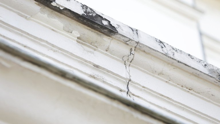 Изображение 740356