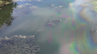 Регионалната инспекция по околната среда и водите РОИСВ в Плевен