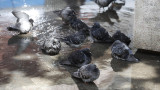 Дъжд в Западна България, но слънце по морето