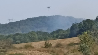 Пожарите в близост до селата Кубадин и Голямо Буково са