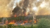 Пожар гори на 3 км от Хасково