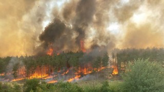 Пожар в района на лесопарк Кенана край Хасково съобщи Нова
