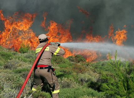 Гърция взима спешни мерки срещу бъдещи пожари