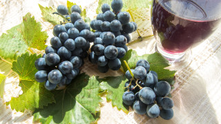 Виненият туризъм трябва да бъде защитен като нематериално културно наследство