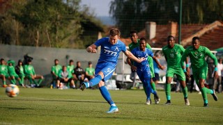 Нападателят на Левски Дени Алар почти сигурно ще води атаката