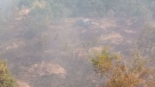 Рискът от нов пожар затруднява разследването на смъртта на лесничеите