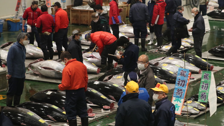 Риба тон бе продадена за 20,8 милиона йени (202 000
