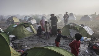 Кабинетът изпраща помощи на бедстващите мигранти на гръцко-македонската граница