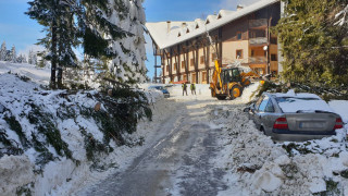 През първите 10 дни на територията на страната са настъпили