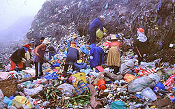 Н. Караджова: От нас зависи дали ЕС ще ни санкционира за боклука