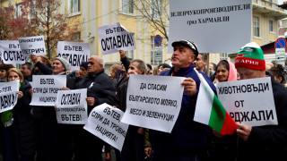 Животновъди и оранжерийни производители излязоха на протест тази сутрин съобщава