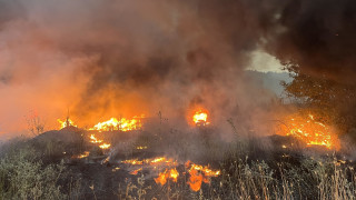 Голям пожар е пламнал в района на село Обручище община
