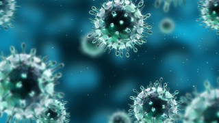 В момента върлува коктейл от вирусни инфекции Това заяви пред