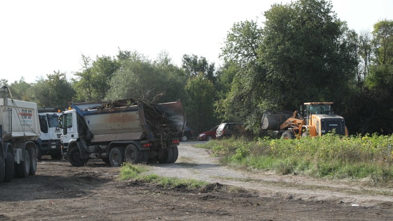 Изображение 494356