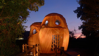 Да пренощуваш в бухал (СНИМКИ)