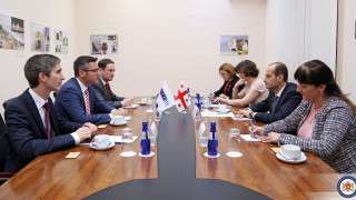 По време на визитата в Грузия специалният представител на Парламентарната