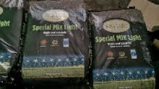 Полицаите в Пловдив разкриха две лаборатории за отглеждане на марихуана