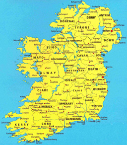 Предсрочни избори в Ирландия на 11 март